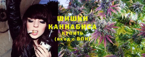 твердый Арсеньев