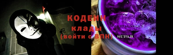 твердый Арсеньев