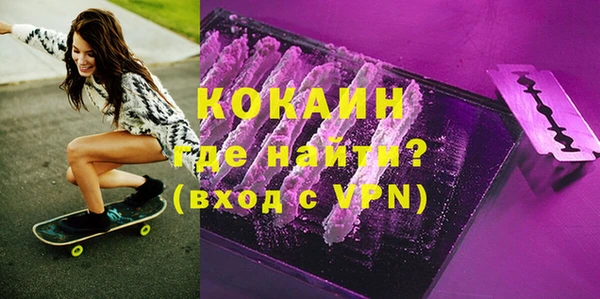 твердый Арсеньев