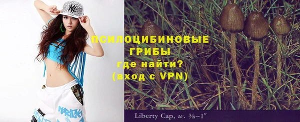 твердый Арсеньев